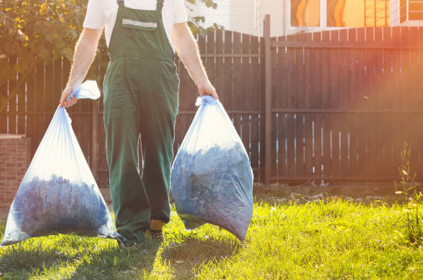 Best Attic Cleanout  in Somerton, AZ